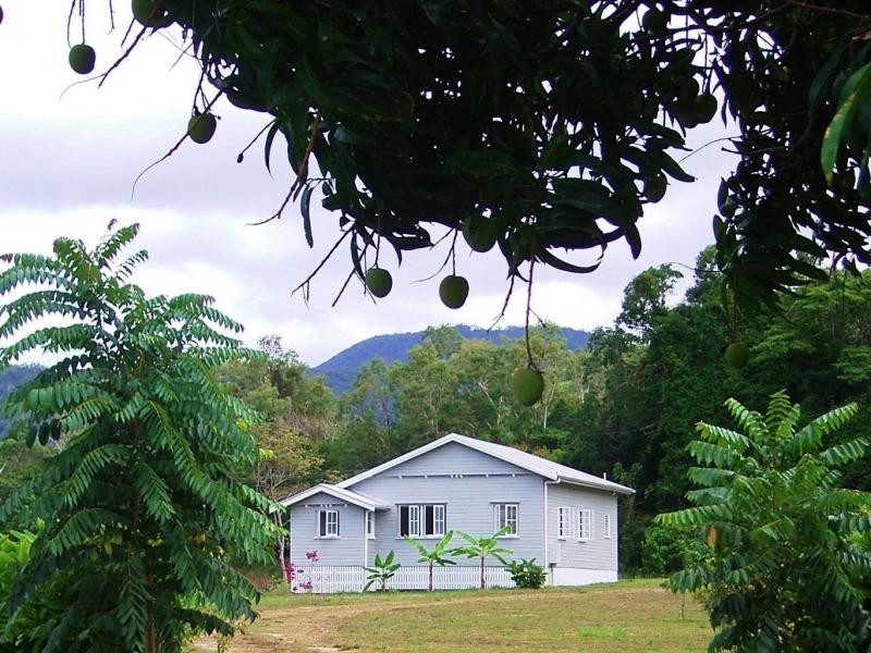 356 Mowbray River Road, Mowbray QLD 4877