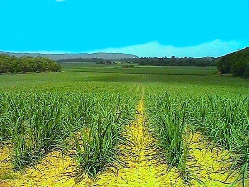 630-674 Syndicate Road, Whyanbeel QLD 4873