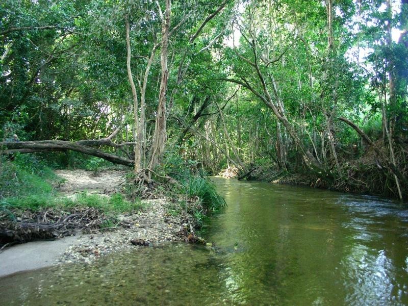 630-674 Syndicate Road, Whyanbeel QLD 4873