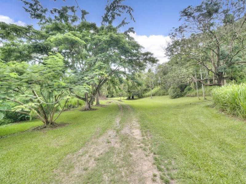 147 Mount Lewis Road, Julatten QLD 4871