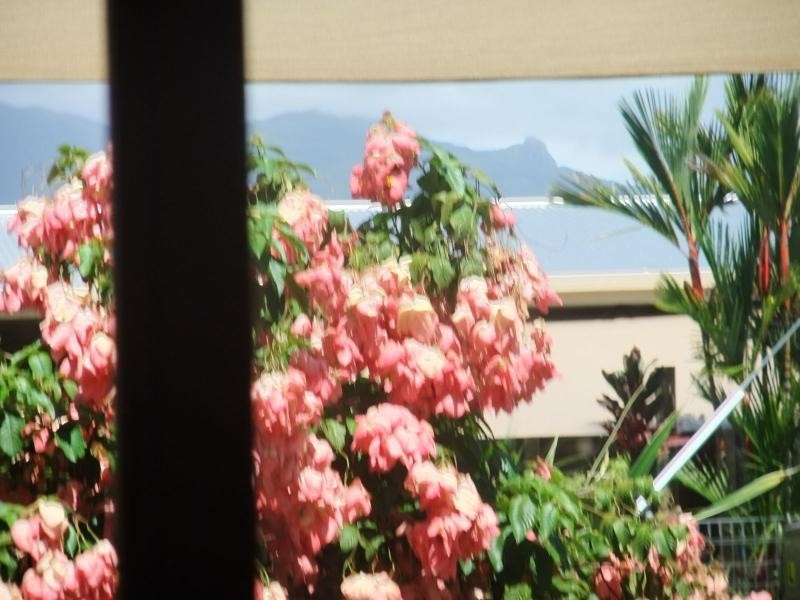 7 Andrews Street, Newell QLD 4873