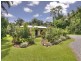 1466 Cape Tribulation Road, Daintree QLD 4873