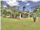 1466 Cape Tribulation Road, Daintree QLD 4873