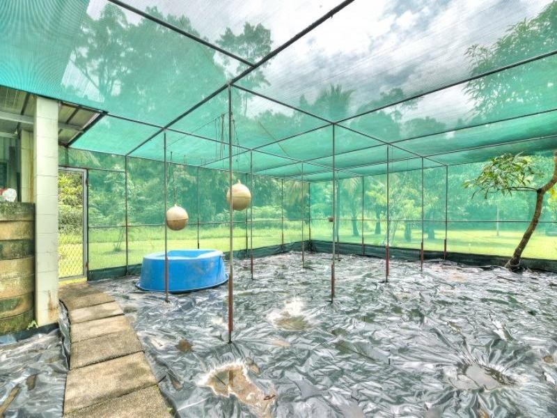 1466 Cape Tribulation Road, Daintree QLD 4873