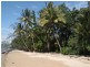 Cape Tribulation QLD 4873