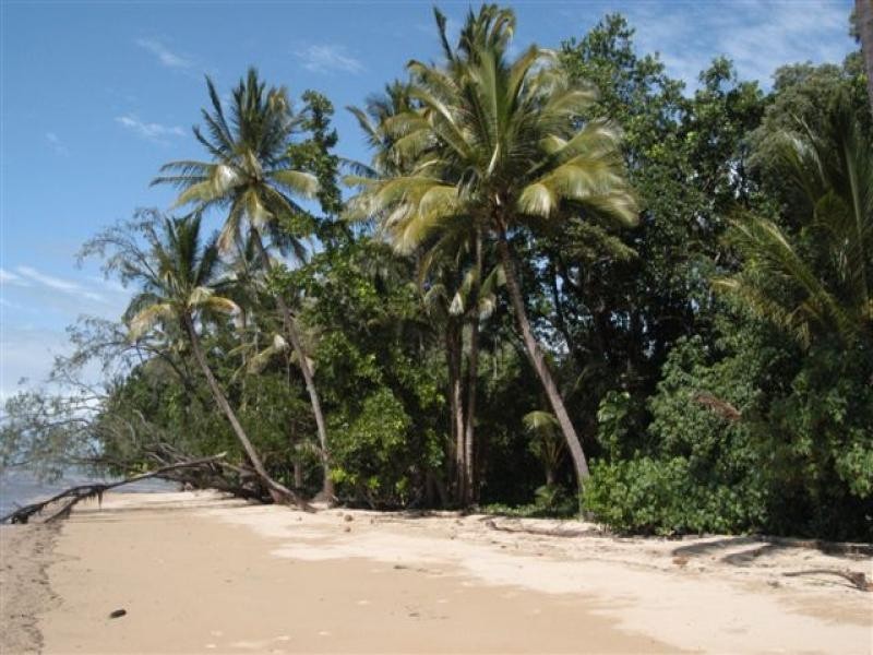 Cape Tribulation QLD 4873