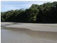 Cape Tribulation QLD 4873