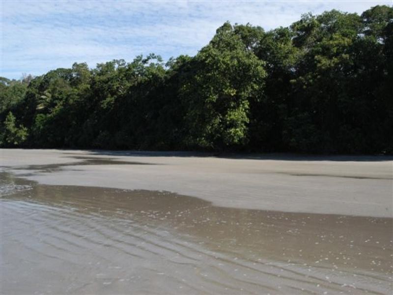 Cape Tribulation QLD 4873