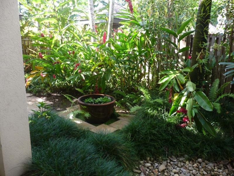 Port Douglas QLD 4877