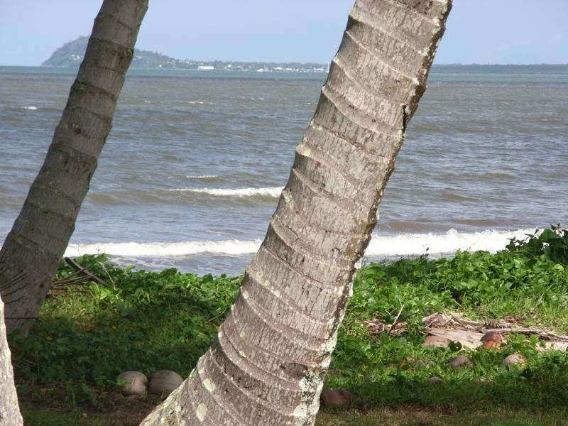 7 Marine Parade, Newell QLD 4873