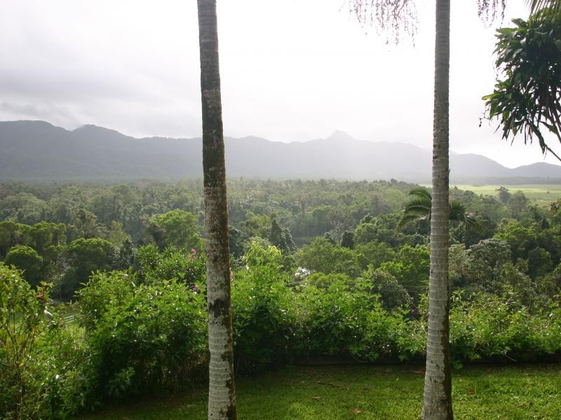 Daintree QLD 4873