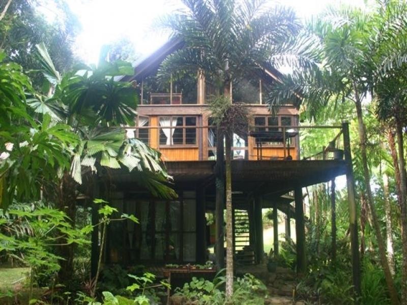 Cape Tribulation QLD 4873