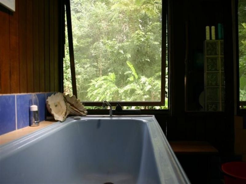 Cape Tribulation QLD 4873