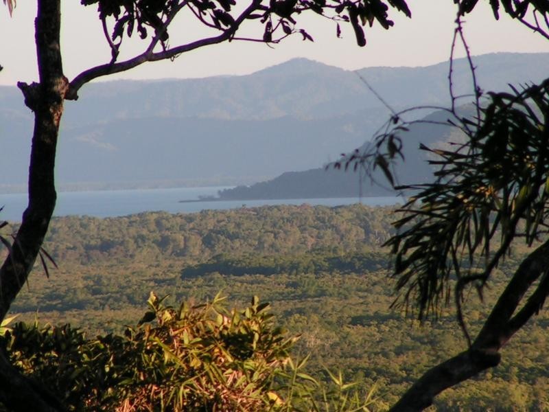 3 Milky Pine Road, Daintree QLD 4873