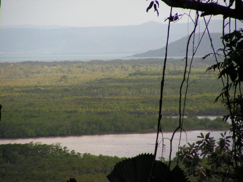 3 Milky Pine Road, Daintree QLD 4873