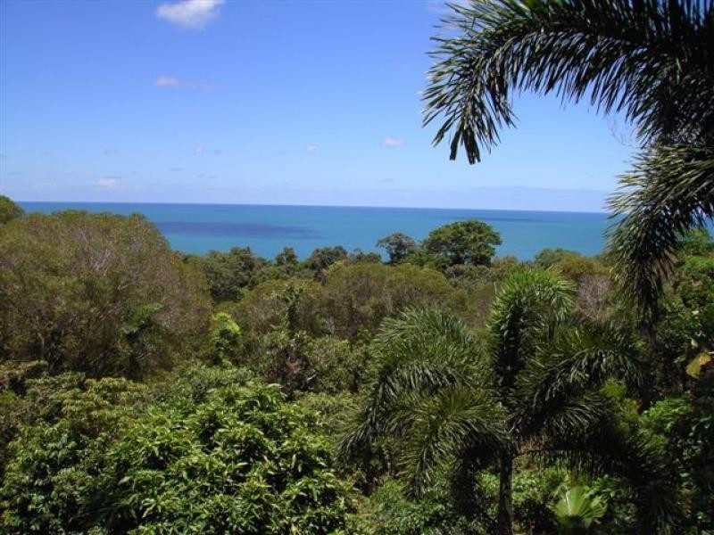 Daintree QLD 4873