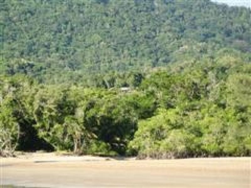 Daintree QLD 4873