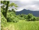 Lot 4 Cape Trib Rd, Daintree QLD 4873