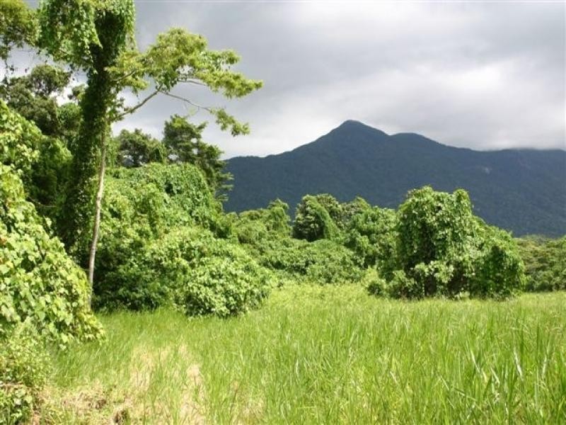 Lot 4 Cape Trib Rd, Daintree QLD 4873