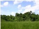 Lot 4 Cape Trib Rd, Daintree QLD 4873