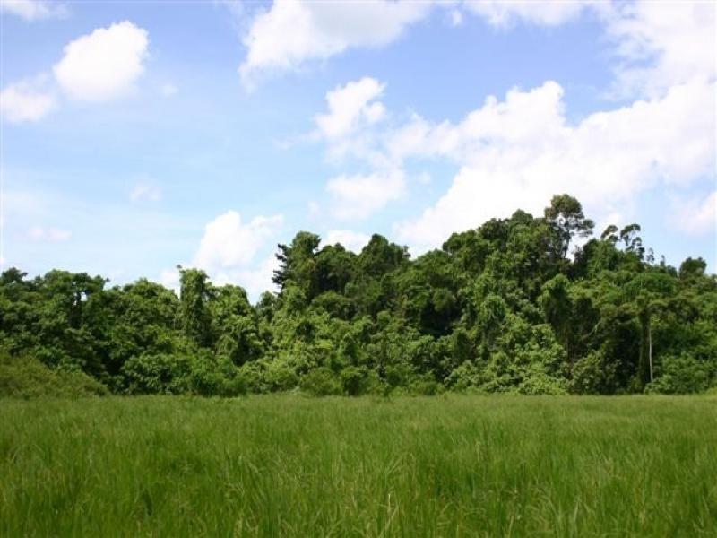 Lot 4 Cape Trib Rd, Daintree QLD 4873