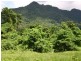 Lot 4 Cape Trib Rd, Daintree QLD 4873