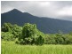 Lot 4 Cape Trib Rd, Daintree QLD 4873