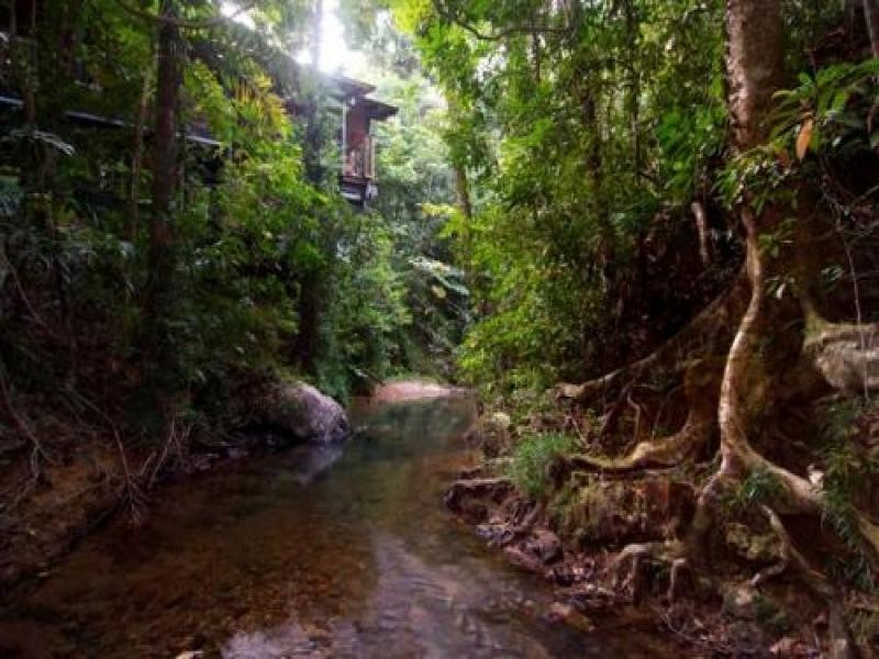 Daintree QLD 4873