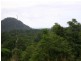 Daintree QLD 4873