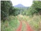 Daintree QLD 4873