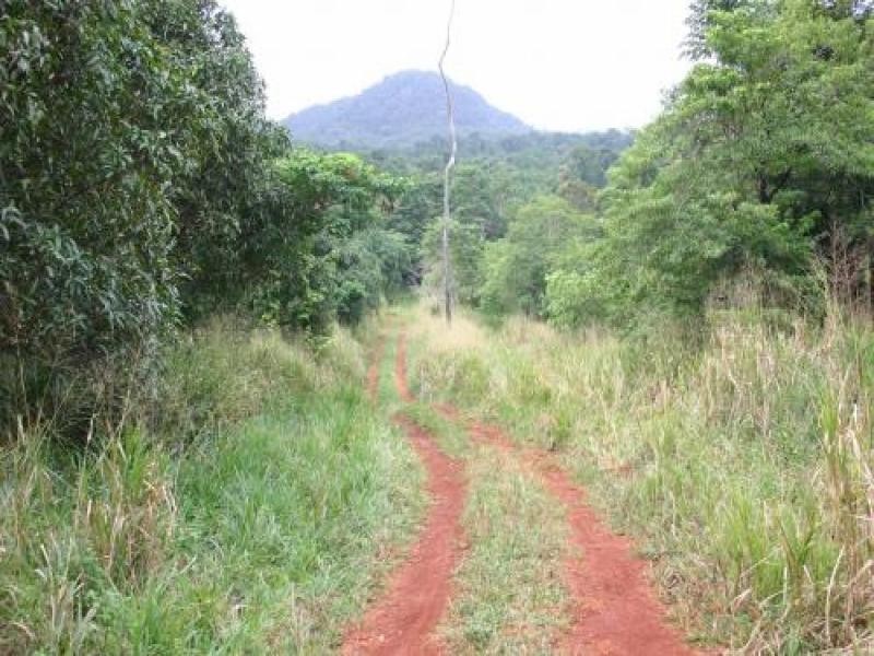 Daintree QLD 4873