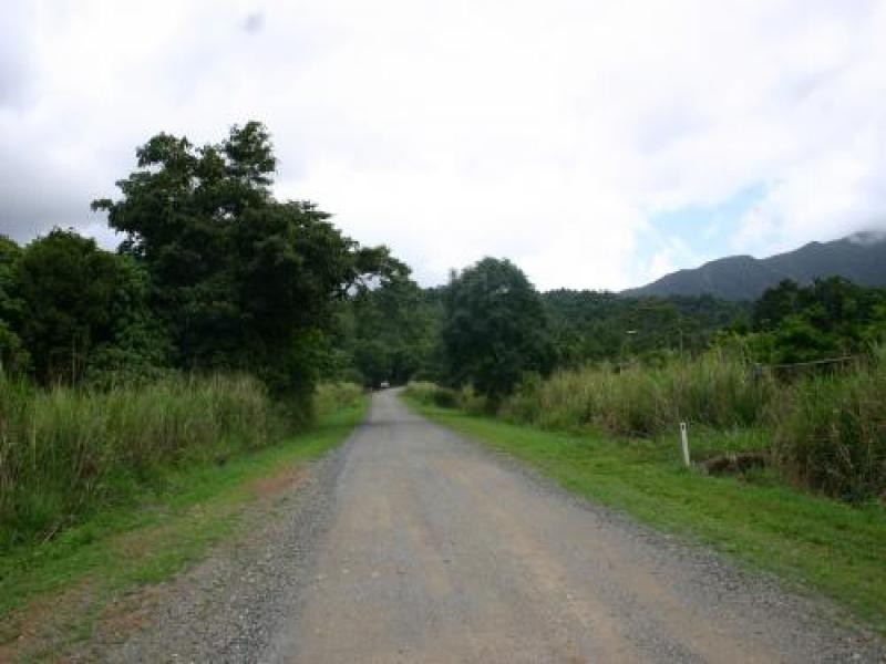 Daintree QLD 4873