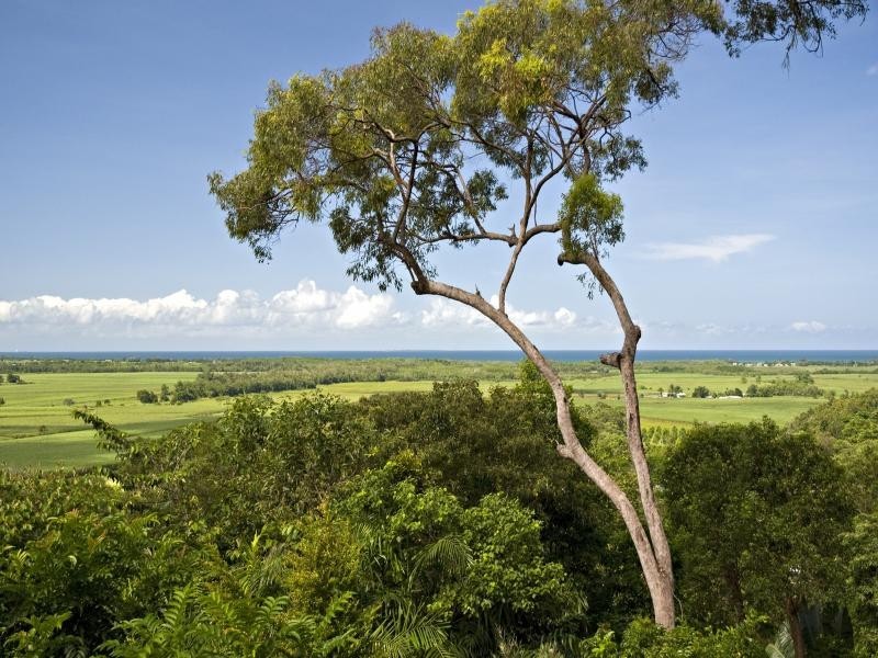 14 Somerset Drv, Port Douglas QLD 4877