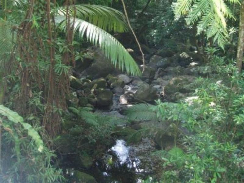 Cow Bay QLD 4873