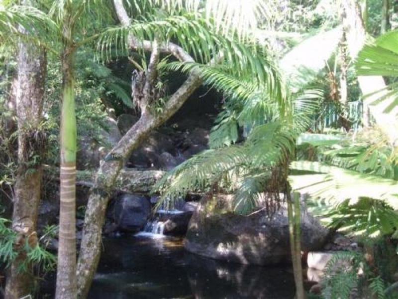 Cow Bay QLD 4873