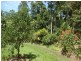 326 Cape Tribulation Rd., Daintree QLD 4873