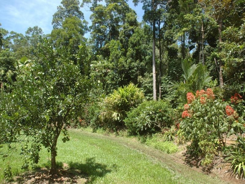 326 Cape Tribulation Rd., Daintree QLD 4873