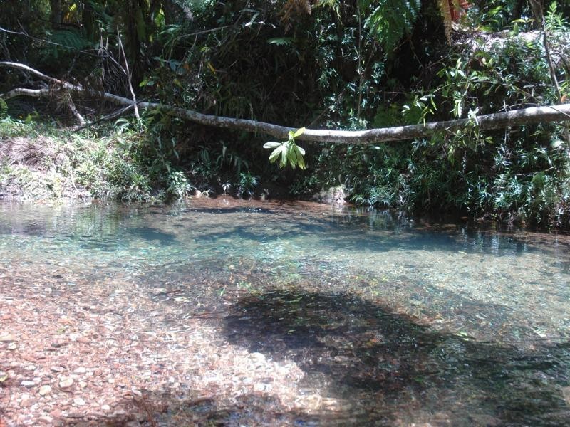 326 Cape Tribulation Rd., Daintree QLD 4873