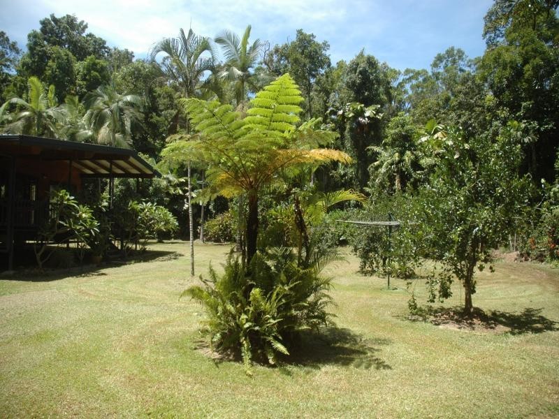 326 Cape Tribulation Rd., Daintree QLD 4873