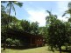 326 Cape Tribulation Rd., Daintree QLD 4873