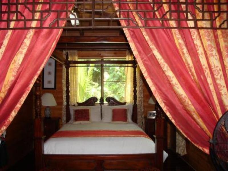 Cape Tribulation QLD 4873