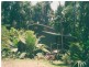 28 Camelot Cl., Cape Tribulation QLD 4873