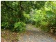 28 Camelot Cl., Cape Tribulation QLD 4873