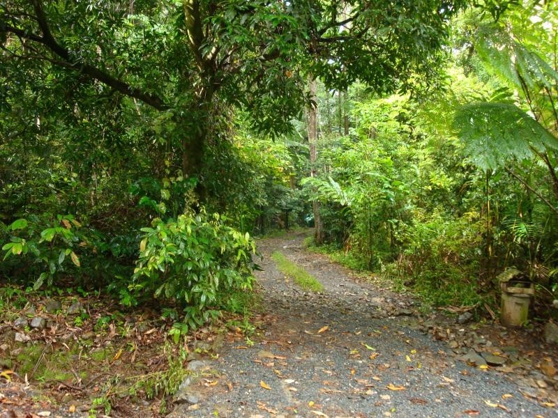 28 Camelot Cl., Cape Tribulation QLD 4873