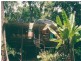 28 Camelot Cl., Cape Tribulation QLD 4873