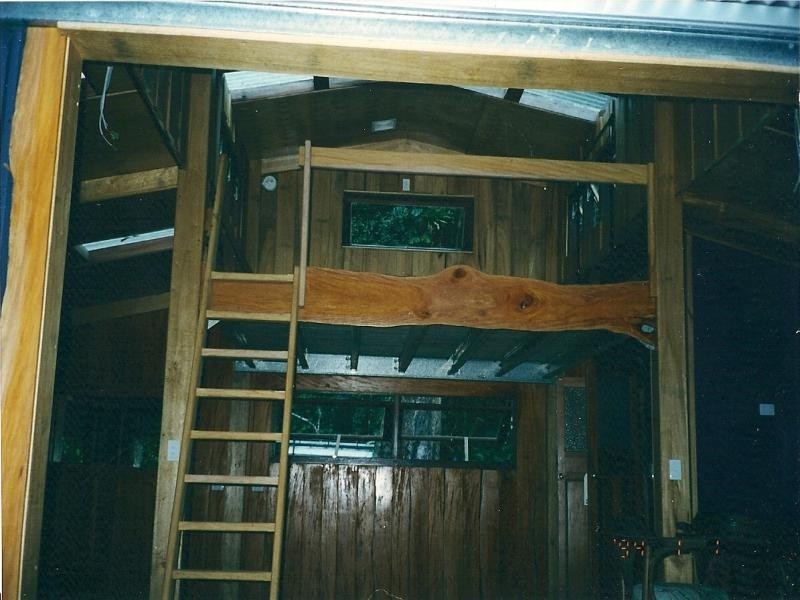 28 Camelot Cl., Cape Tribulation QLD 4873