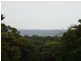 16 Nicole Dr., Cape Tribulation QLD 4873