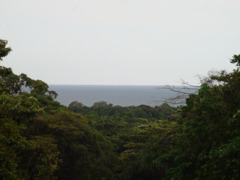16 Nicole Dr., Cape Tribulation QLD 4873