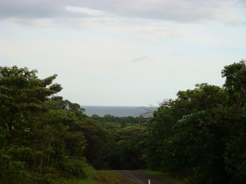 16 Nicole Dr., Cape Tribulation QLD 4873