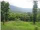 Lot 241 Carbeen Rd., Cape Tribulation QLD 4873